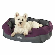 Bunty cat dog - dog, to