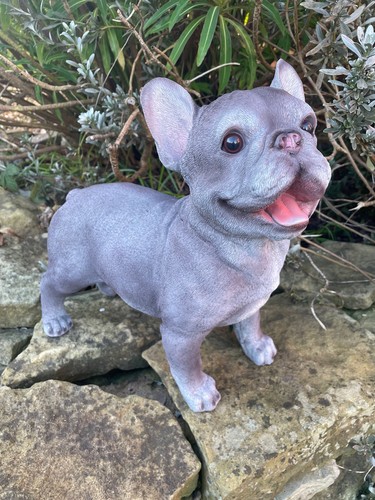 Standing french bulldog garden - french,