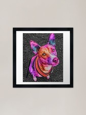cute colorful basenji Framed