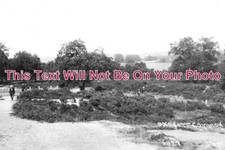 SU 2314 - Oxshott Common