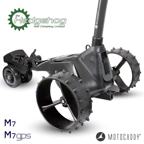 Hedgehog winter wheels - hedgehog,