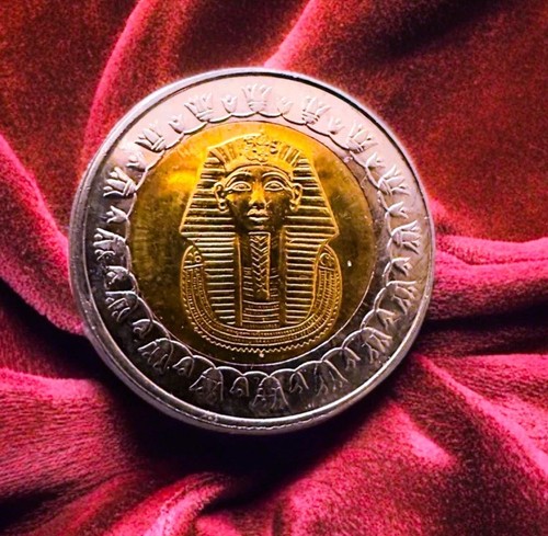 Egyptian one pound coin - pound,