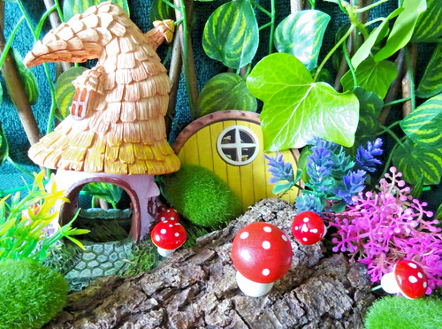 Mini fairy garden - fairy, your