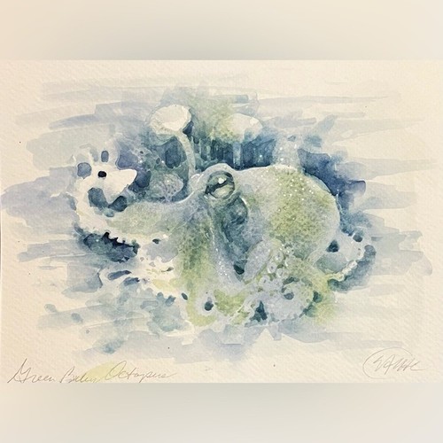 Original painting octopus - original,