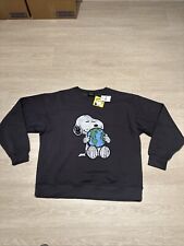 Peanuts Snoopy New Grey Jumper
