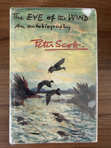 Peter scott the eye - eye,