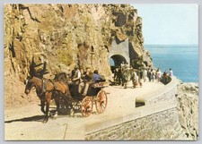 c25490 Island transport horse and cart Sark  Guernsey Jarrold postcard