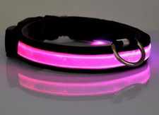 LED Dog Cat Pet Collar