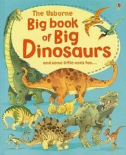 The Usborne Big Book of Big