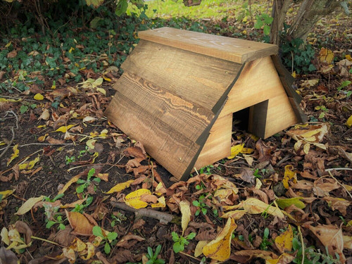 Lodge wooden hedgehog - hedgehog, house
