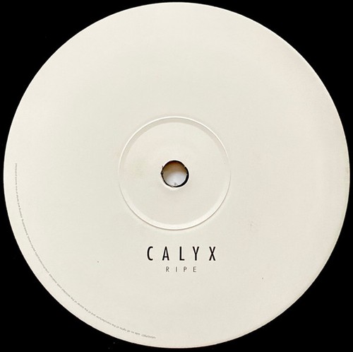 Calyx downpour ep - ep, (2x12")