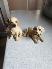 DOG STUDIES BY LEONARDO Golden