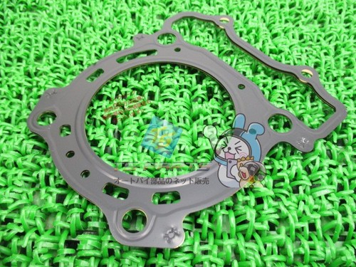 Yz250f cylinder head - cylinder,