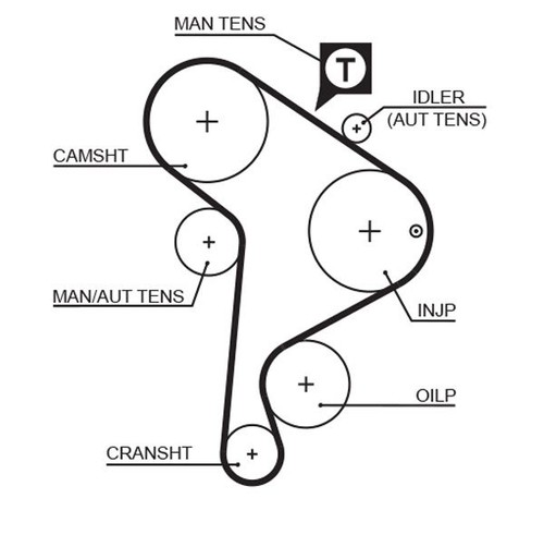 Gates timing belt - gates, cambelt