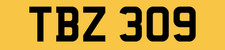 TBZ 309 RARE DATELESS BARGAIN