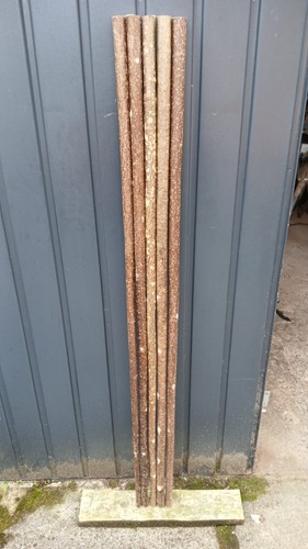 Hazel walking stick - hazel,