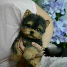 Simulation Toy Dog Realistic