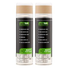 Autotek Exact Match Aerosol