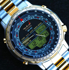 Wingman Citizen C080 Pilot