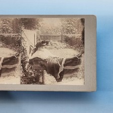 Victorian Risque Stereoview