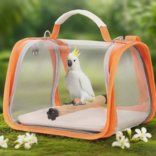 Transparent bird travel - bird, bag