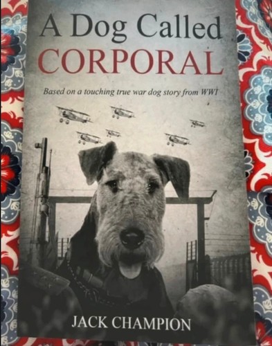 New dog called - new, corporal