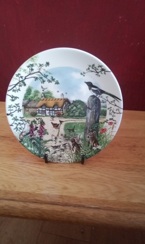 Wedgwood collectors plate - collectors,