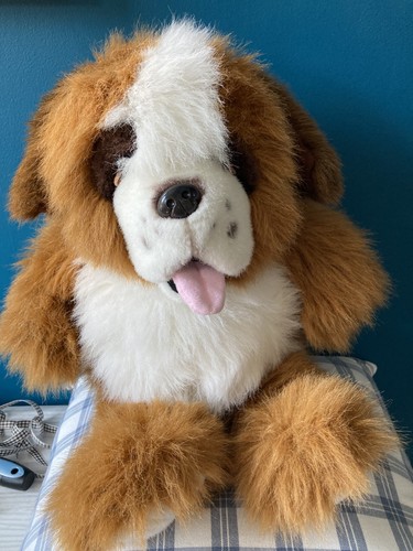 Vintage fluffy bernard - fluffy, st