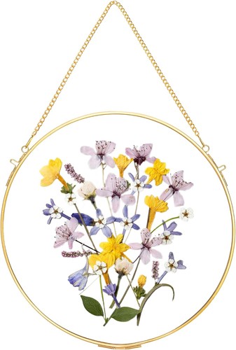 Glass frame for pressed - frame,