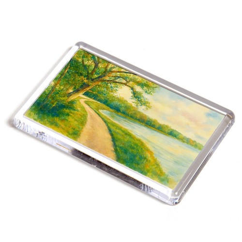 Fridge magnet river walk - fridge,