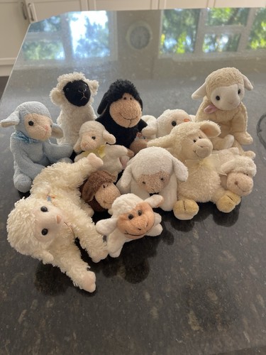 Plush lamb sheep soft toy - lamb,