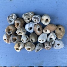 Twenty natural hag stones - natural,