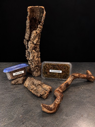 Reptile terrarium habitat kit - reptile,