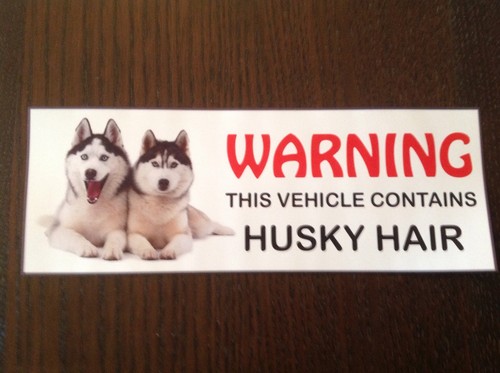 Funny warning contains - 1,