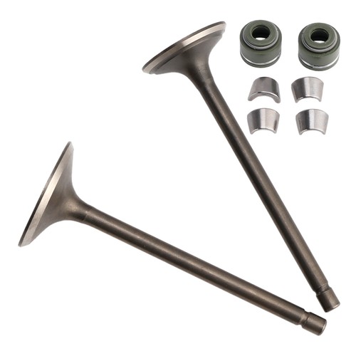 Valve set inlet exhaust for - inlet,
