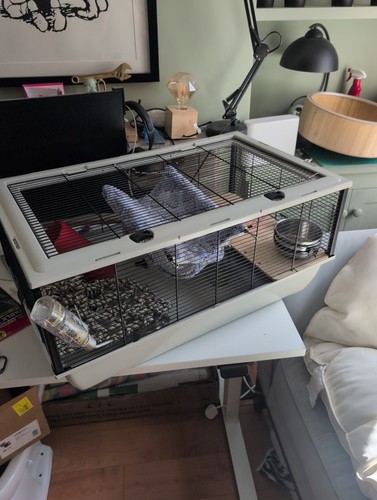 Cage and accessories - and, for