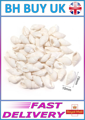 40g aquarium snail shells - 40g,