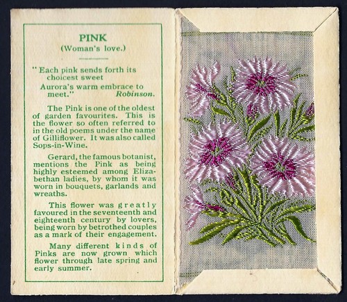 Wix kensitas flowers - wix,