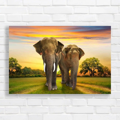 Elephant family sunset - on,