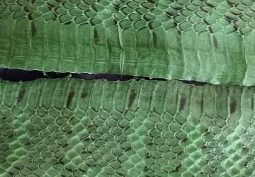 Real snake skins for hobby - 3,