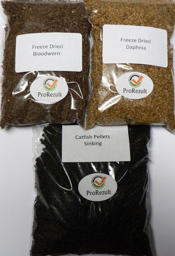 Freeze dried bloodworm daphnia - bloodworm,