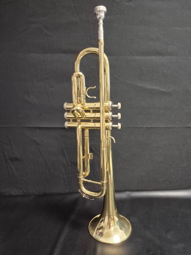 Ammoon trumpet standard brass - trumpet,
