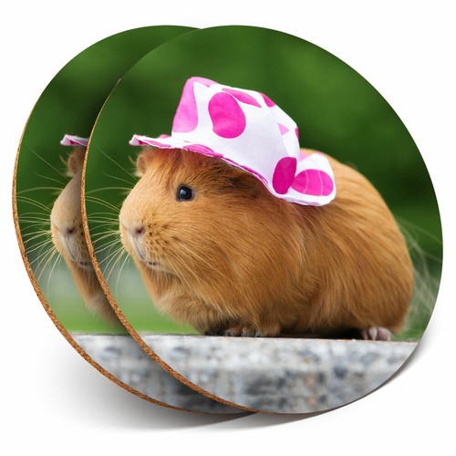 Coasters sweet guinea - x,