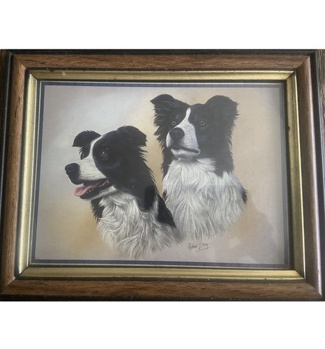 Collie dogs sighned robert - collie, j