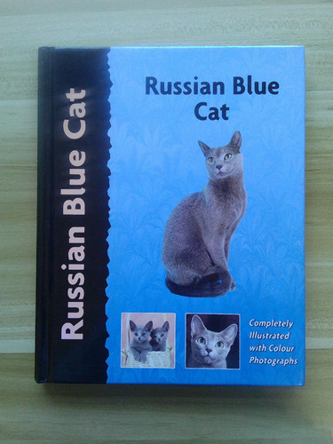 Russian blue cat illustrated - russian,
