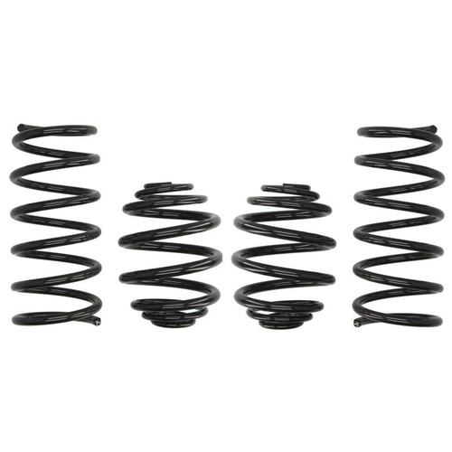 Lowering springs pro kit - springs, pro-kit