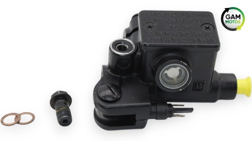 Front master cylinder piaggio - front,