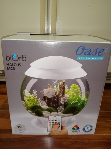 New sphere fish - new, tank