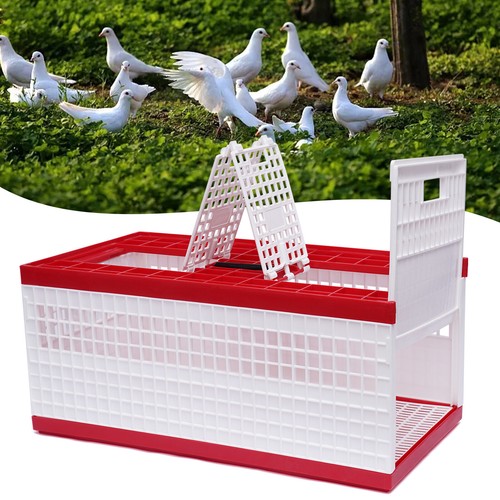 Racing pigeon carrier box - racing,