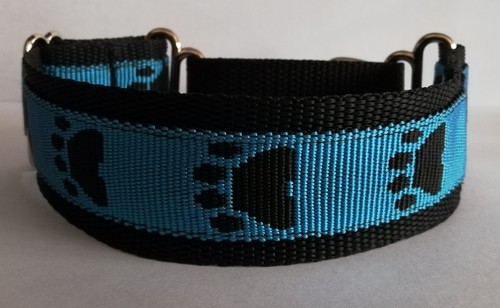 Webbing small sighthound